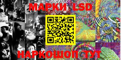 ПСИЛОЦИБИНОВЫЕ ГРИБЫ Новозыбков