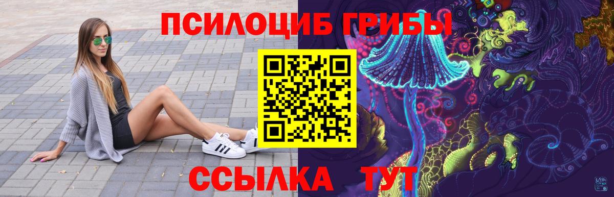 Псилоцибиновые грибы мицелий  Вход с VPN  Славгород  Псилоцибиновые грибы Magic Shrooms 