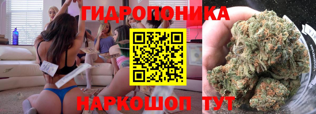 МАРИХУАНА марихуана  Вход с VPN  МАРИХУАНА OG Kush  Славгород  Шишки марихуана индика 